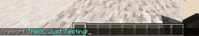 customcommands.gif