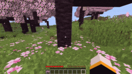 pl.gif