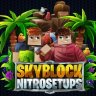 Premium Skyblock Setup | NitroSetups